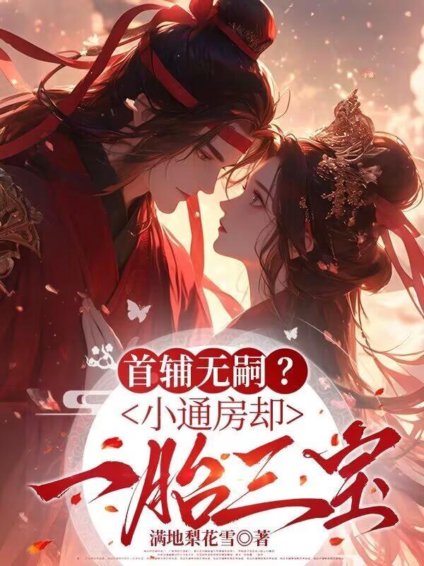 首辅无嗣？小通房却一胎三宝