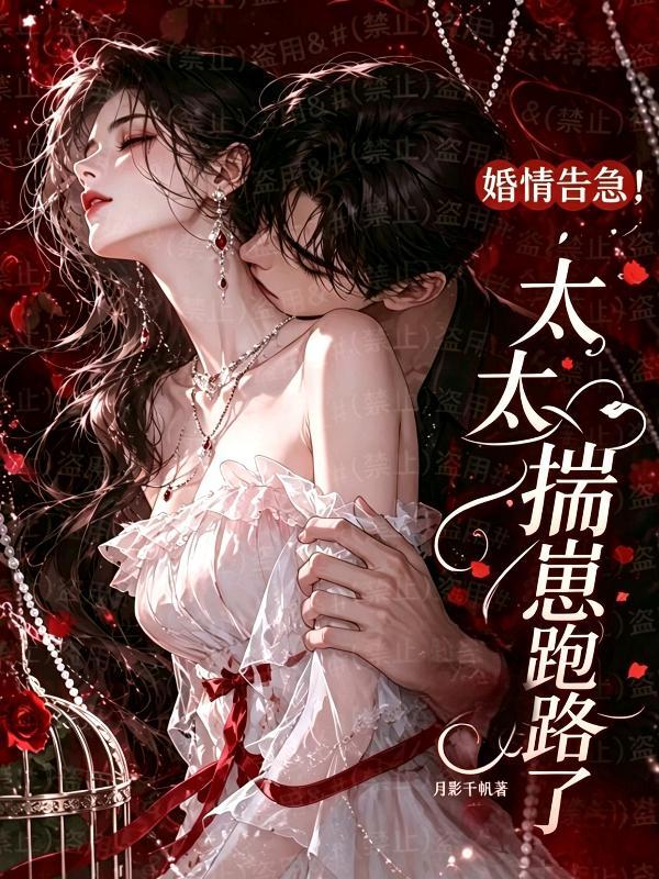 婚情告急！太太揣崽跑路了