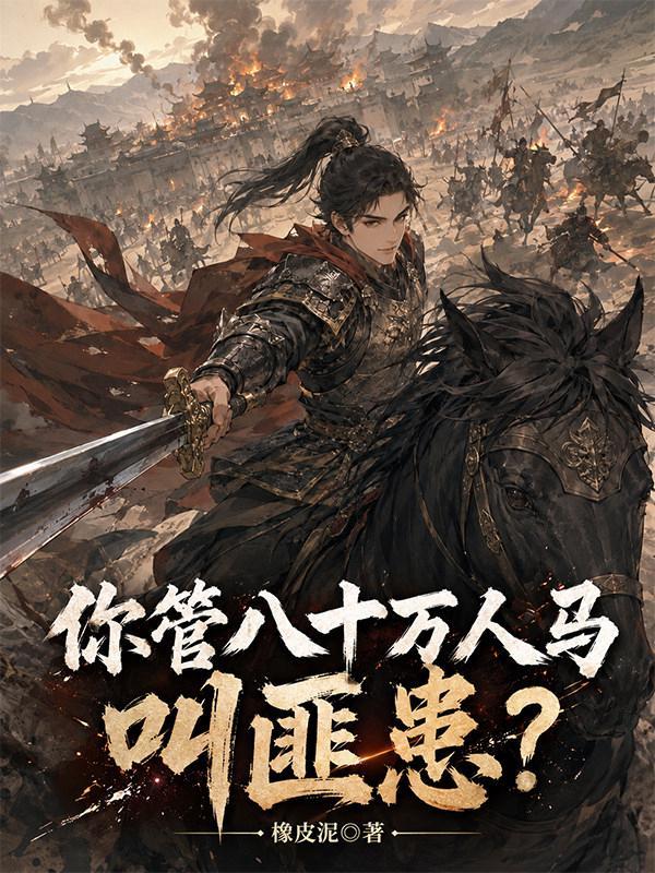 你管八十万人马叫匪患？